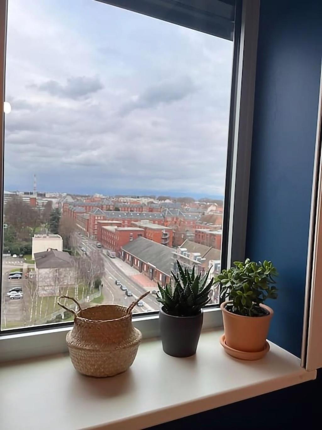 Le Tribunal - Studio Pres De L'Avenue Des Vosges Strasbourg Exteriör bild